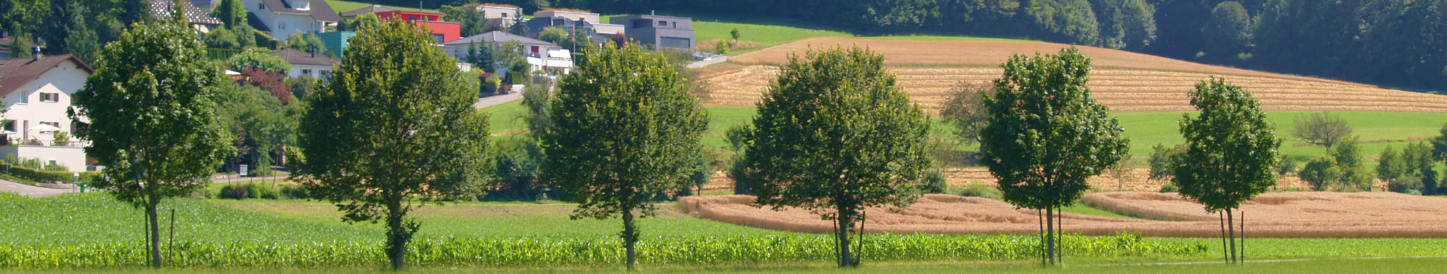 Gemeinde Holziken