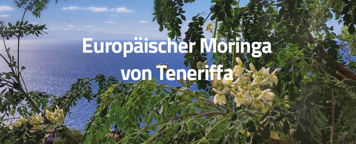 Moringa_Logo