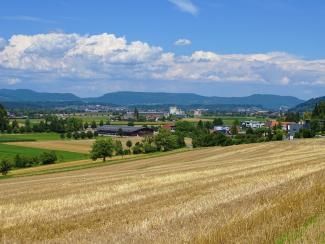 Gemeinde Holziken